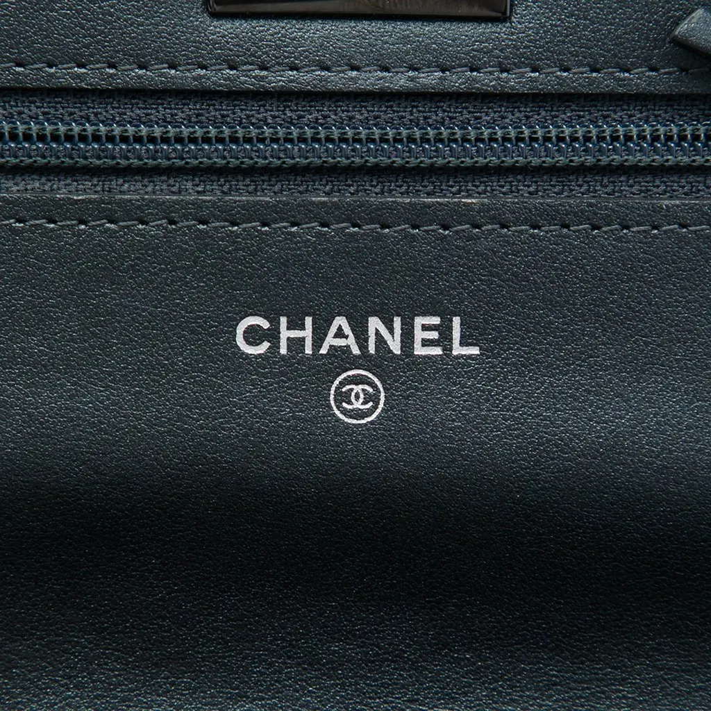 Chanel Quilted Aged Calfskin Reissue 2.55 Wallet on Chain MultiColor Leather Very good - Box View
