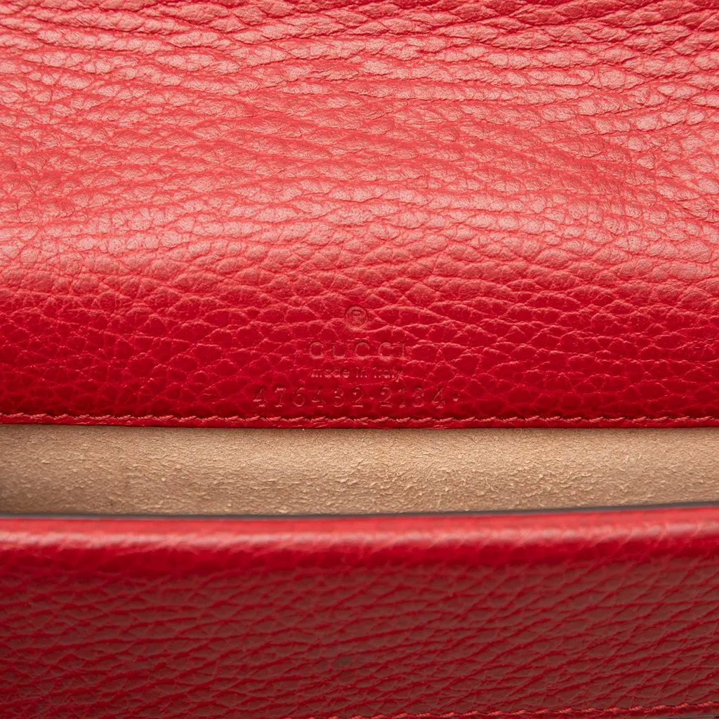 Gucci Mini Leather Dionysus Crossbody Red Leather Very good - Box View