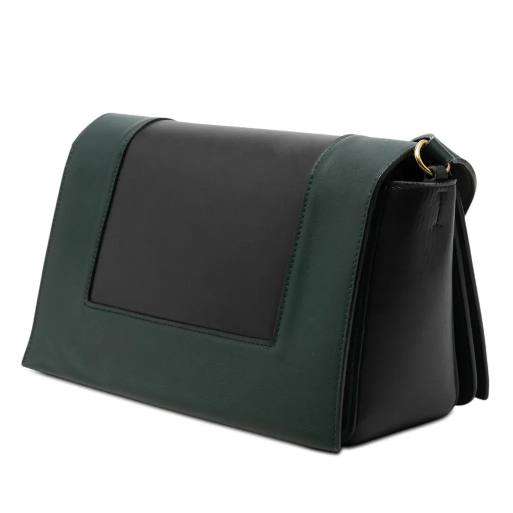 Celine Medium Shiny Smooth Calfskin Frame Shoulder Bag Green Leather Very good - Back View