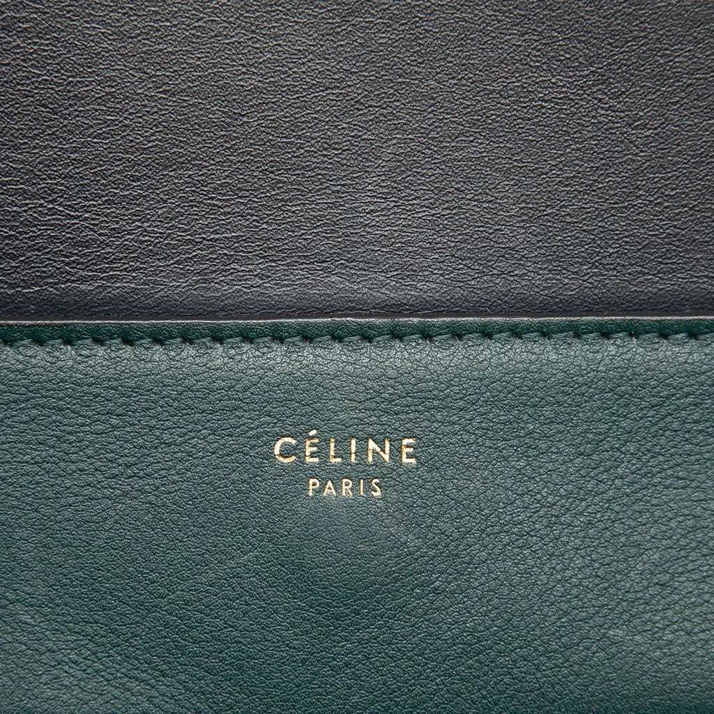 Celine Medium Shiny Smooth Calfskin Frame Shoulder Bag Green Leather Very good - Box View