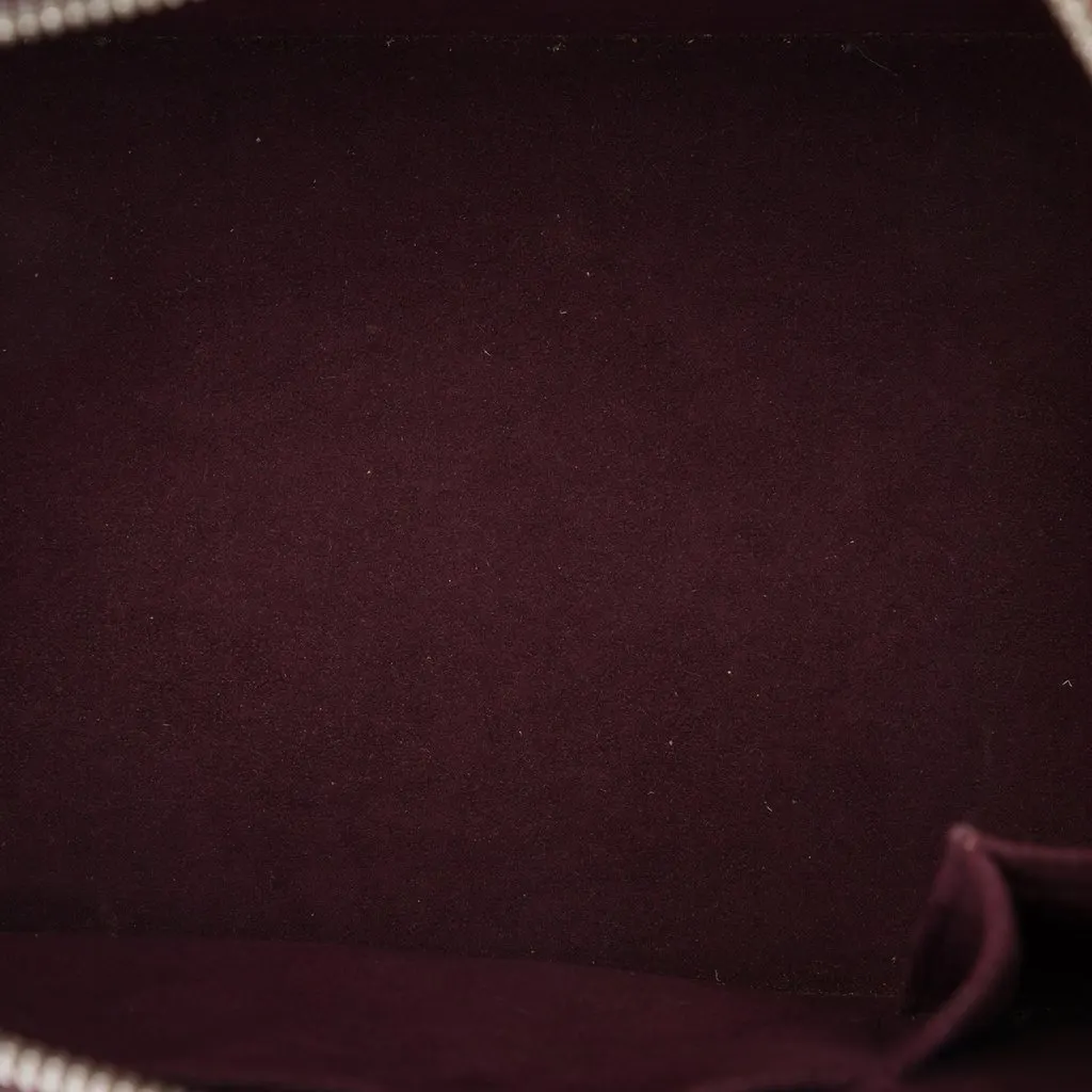 Louis Vuitton Electric Epi Alma PM Purple Leather Very good - Model View