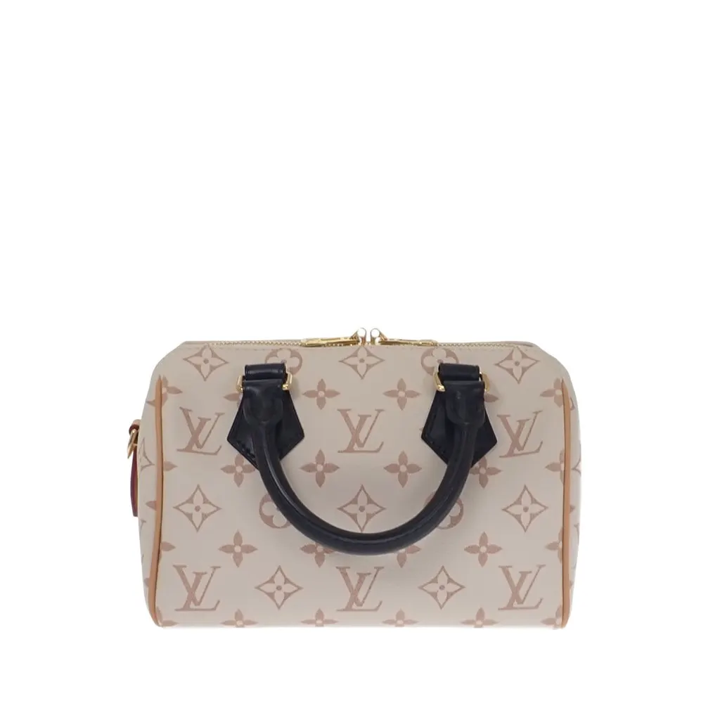 Louis Vuitton Monogram Dune Speedy Bandouliere 20 Brown Canvas Very good - Front View