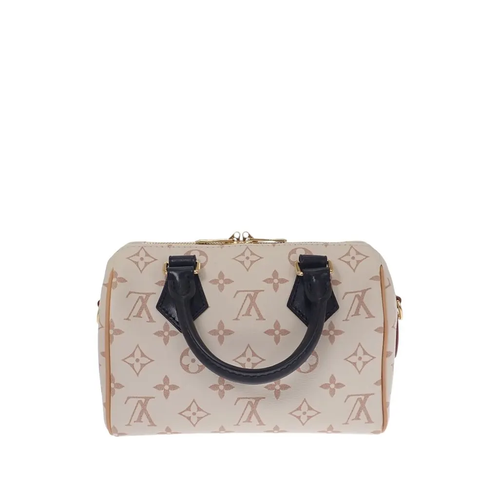 Louis Vuitton Monogram Dune Speedy Bandouliere 20 Brown Canvas Very good - Back View