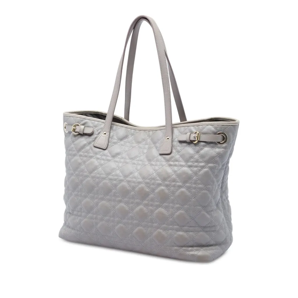 Dior Large Coated Canvas Cannage Panarea Tote MultiColor Very good - Back View