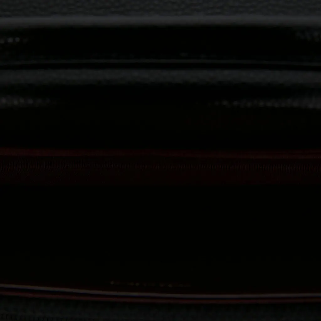 Chanel CC Quilted Caviar Wallet on Chain Black Leather Very good - Model View