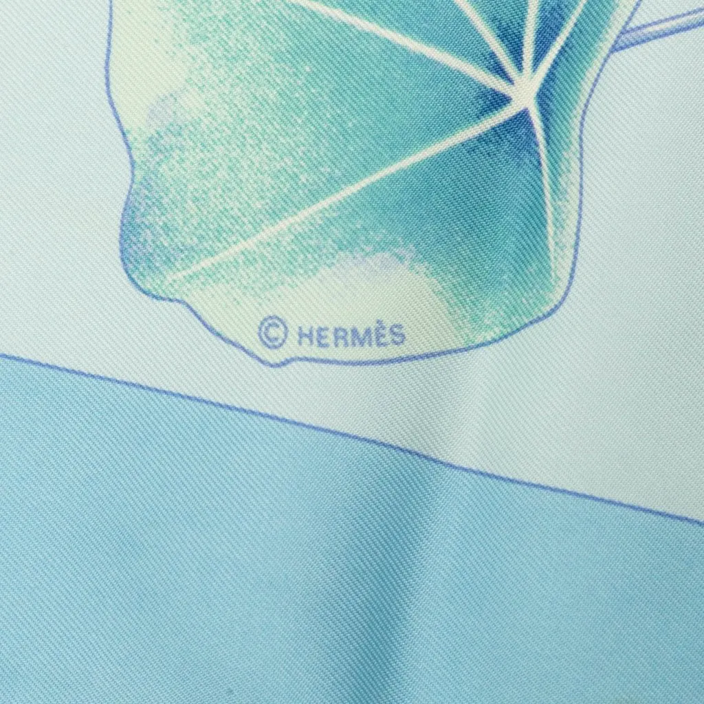 Hermès Les Capucines Silk Scarf 90 Blue Silk Very good - Box View