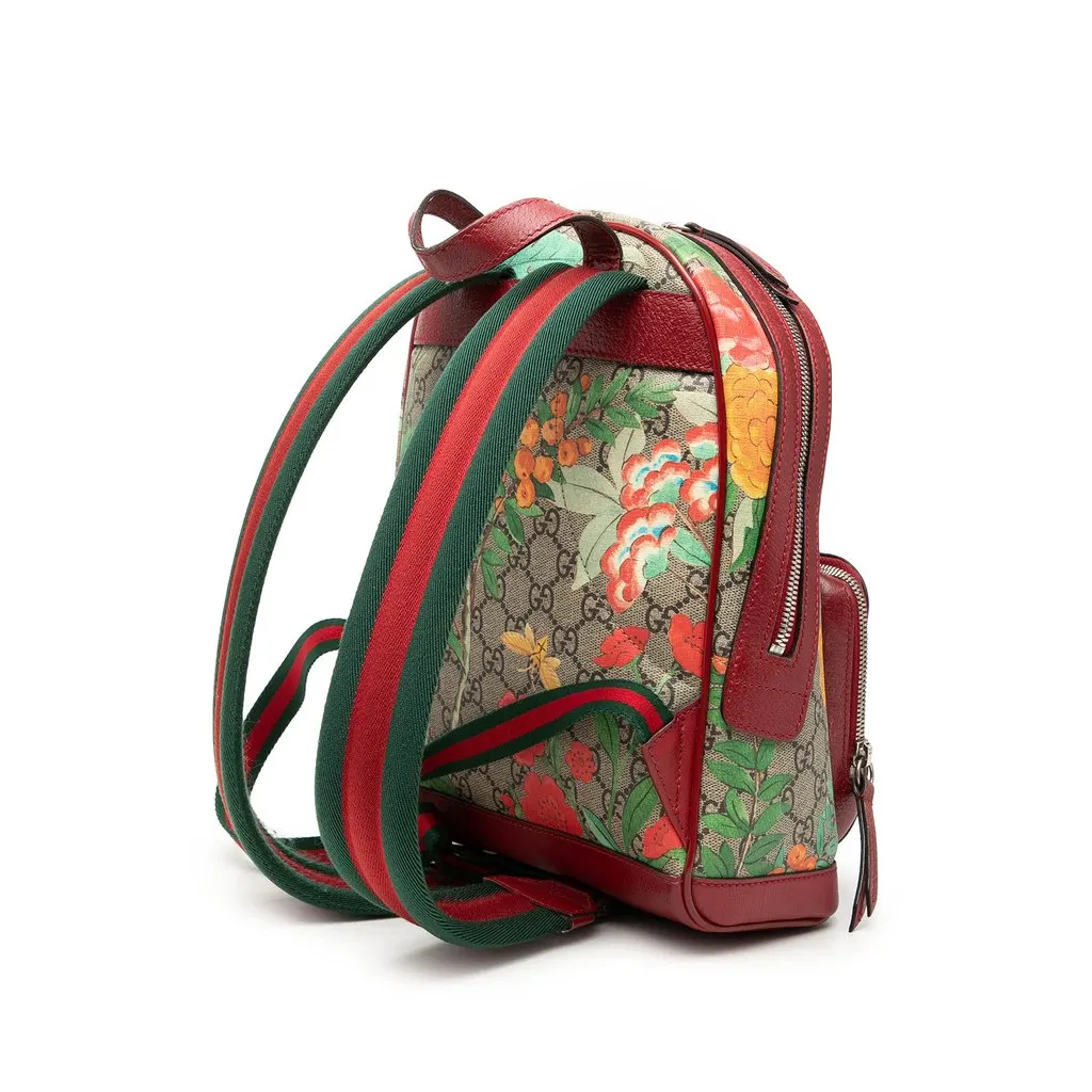 Gucci Small GG Supreme Web Tian Backpack | Libas Collective