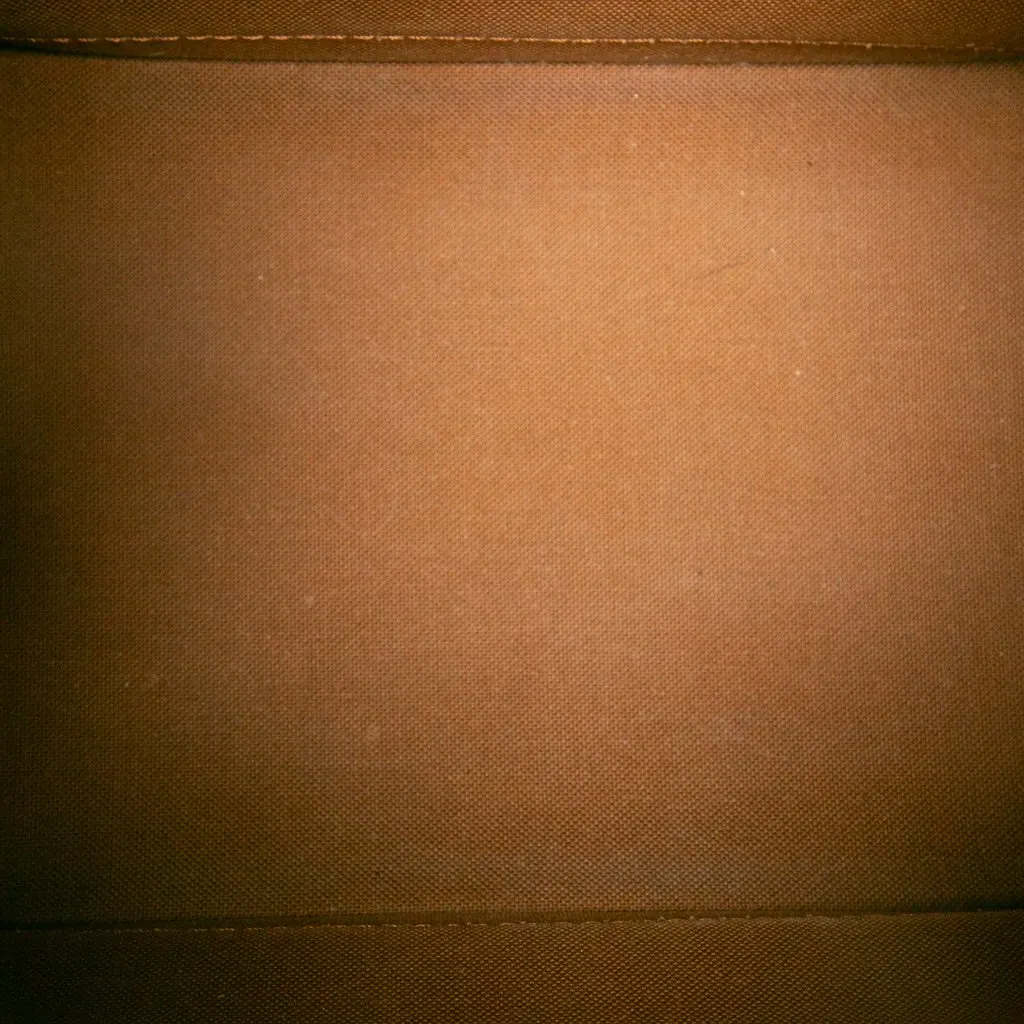 Louis Vuitton Monogram Noe BB Brown Canvas Very good - Model View