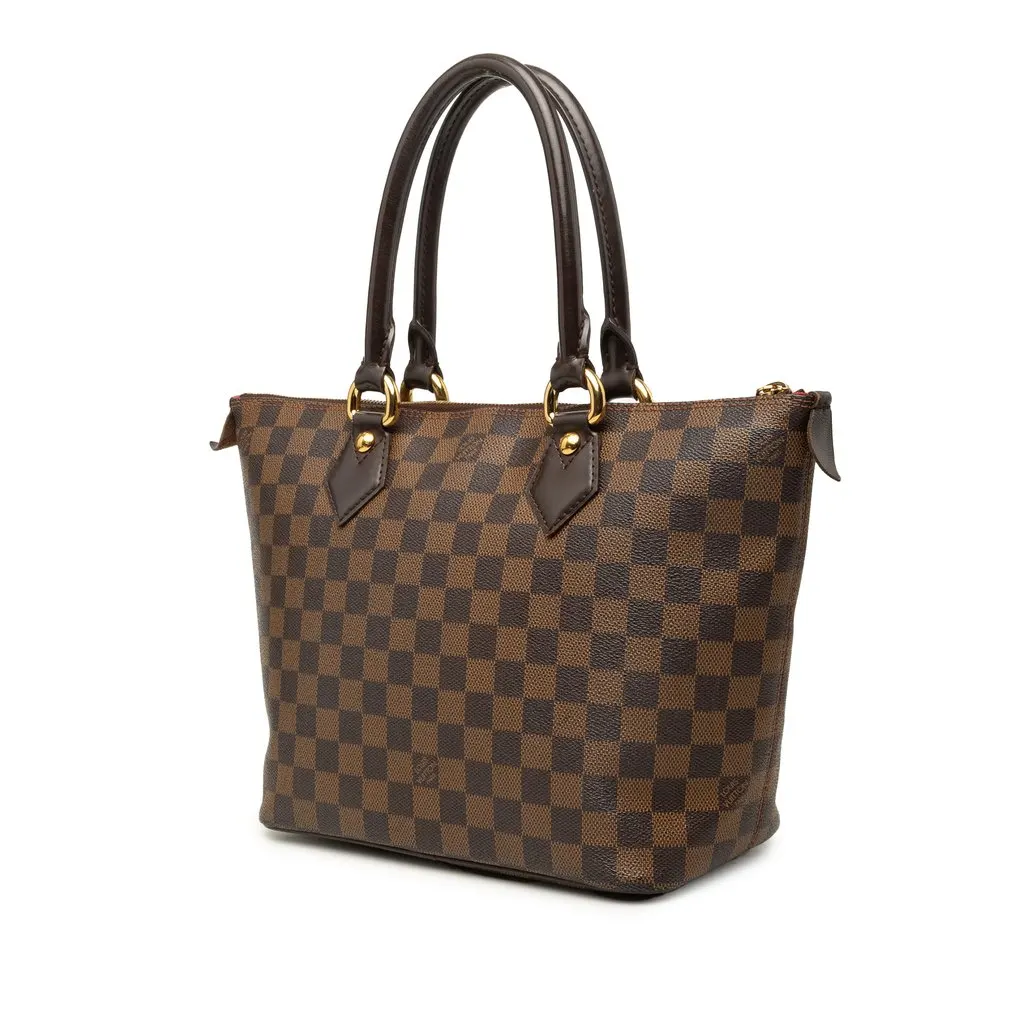 Louis Vuitton Damier Ebene Saleya PM Brown Canvas Very good - Back View