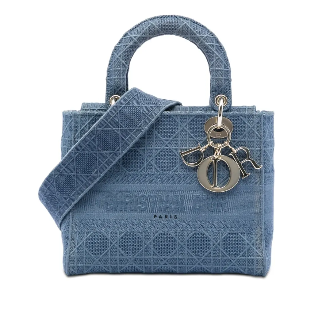 Dior Medium Embroidered Canvas Cannage Lady D Lite Blue Very good - Front View