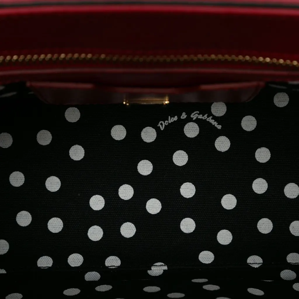 Dolce & Gabbana Calfskin Roses Print Lucia Satchel Black Leather Very good - Model View