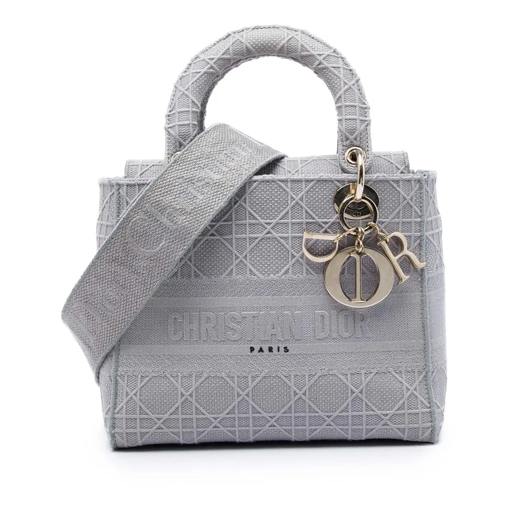 Dior Medium Embroidered Canvas Cannage Lady D Lite MultiColor Very good - Front View
