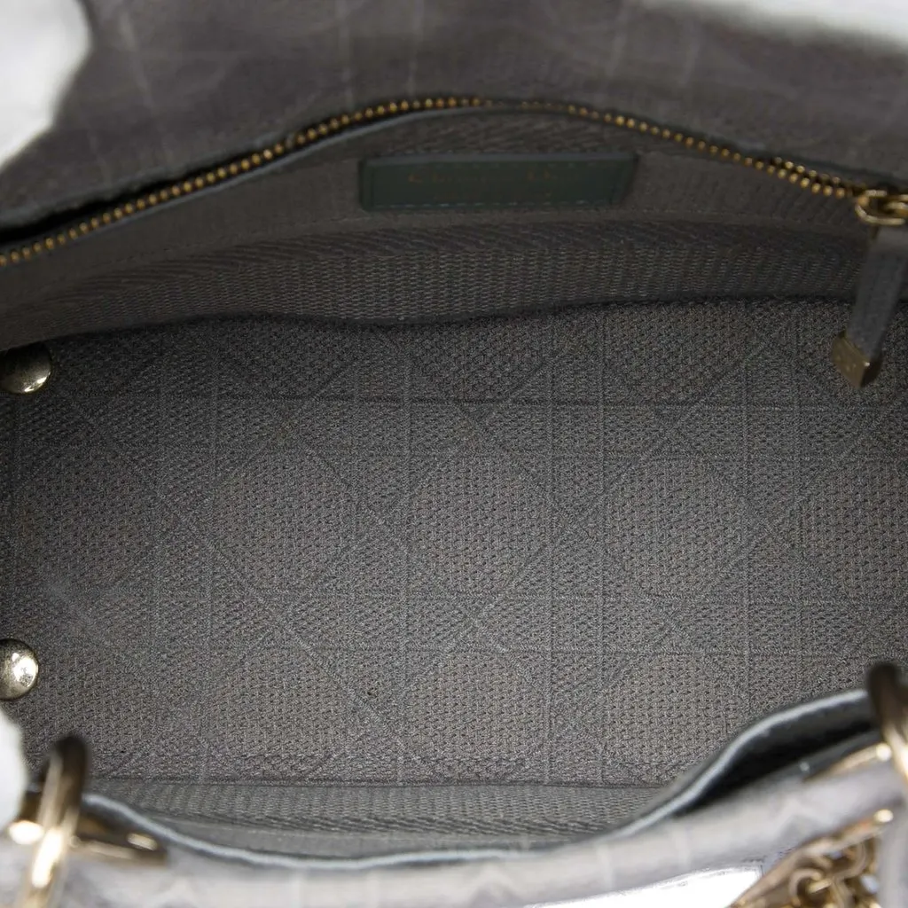 Dior Medium Embroidered Canvas Cannage Lady D Lite MultiColor Very good - Model View