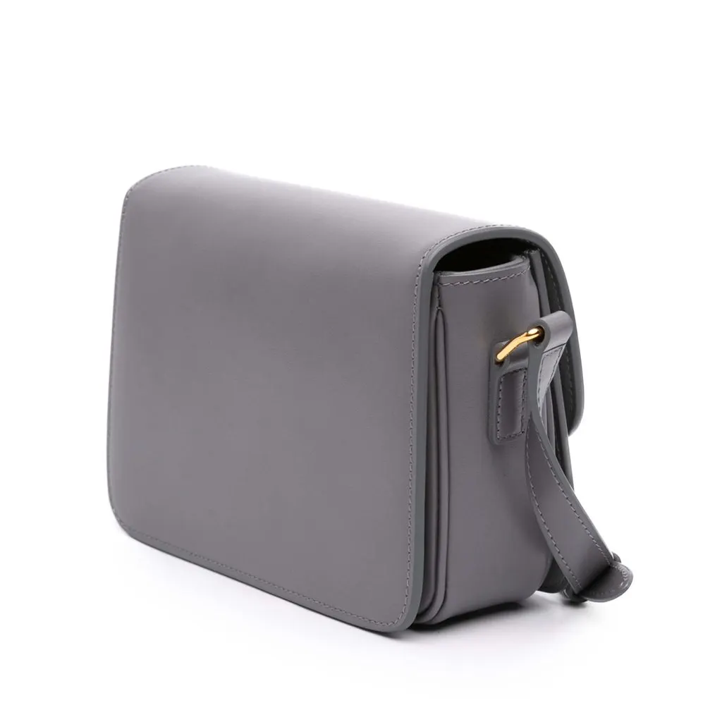 Celine Teen Shiny Calfskin Triomphe Crossbody MultiColor Leather Very good - Back View