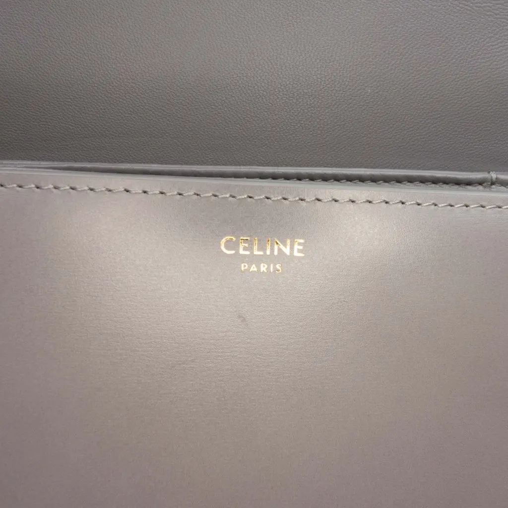 Celine Teen Shiny Calfskin Triomphe Crossbody MultiColor Leather Very good - Box View