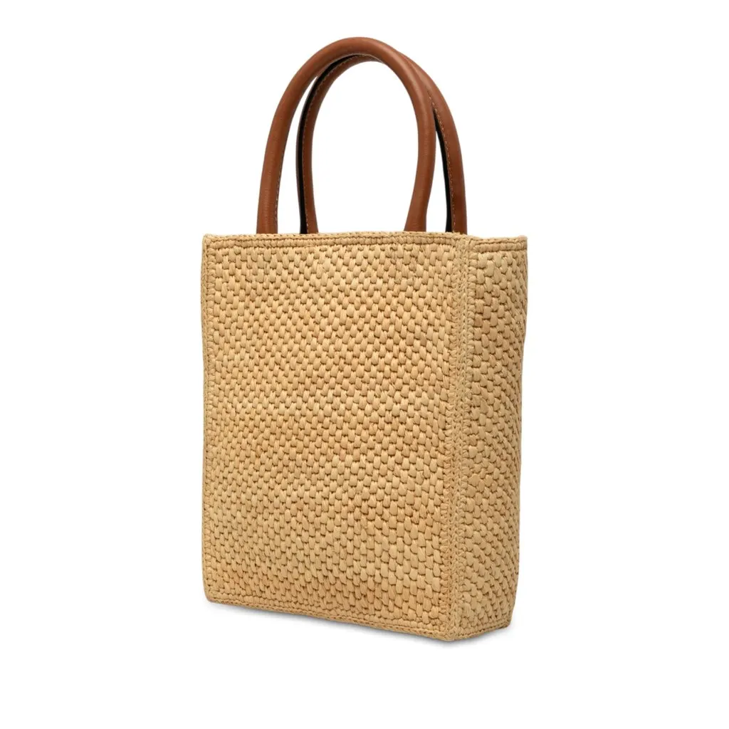 Loewe Raffia Standard A5 Satchel Beige Very good - Back View