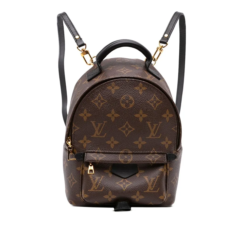 Louis Vuitton Monogram Mini Palm Springs Brown Canvas Very good - Front View