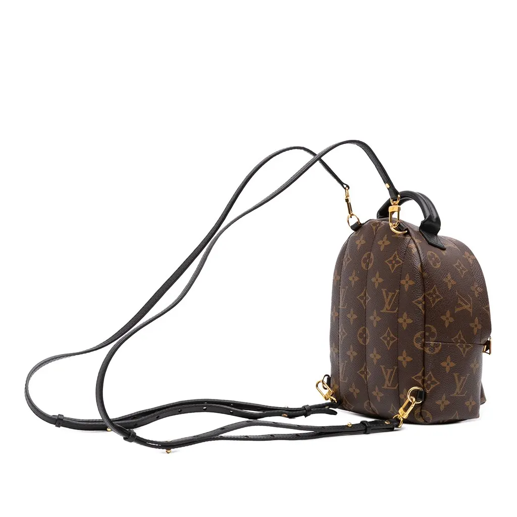 Louis Vuitton Monogram Mini Palm Springs Brown Canvas Very good - Back View