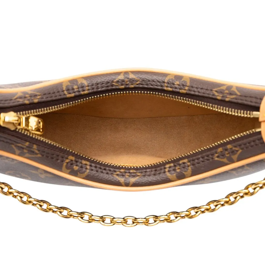 Louis Vuitton Monogram Loop Brown Canvas Good - Model View