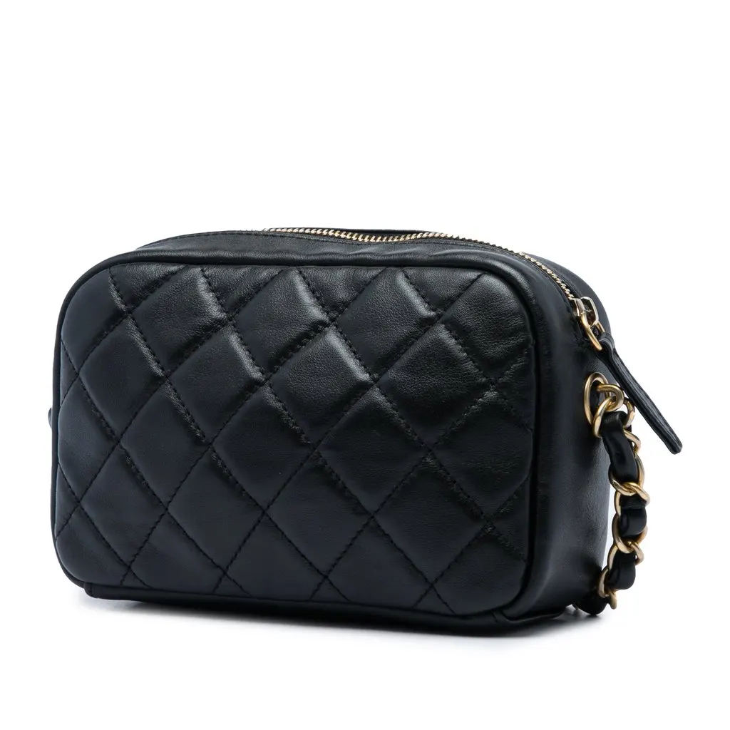 Chanel Small Quilted Lambskin Buckle Camera Bag Black Leather Very good - Back View