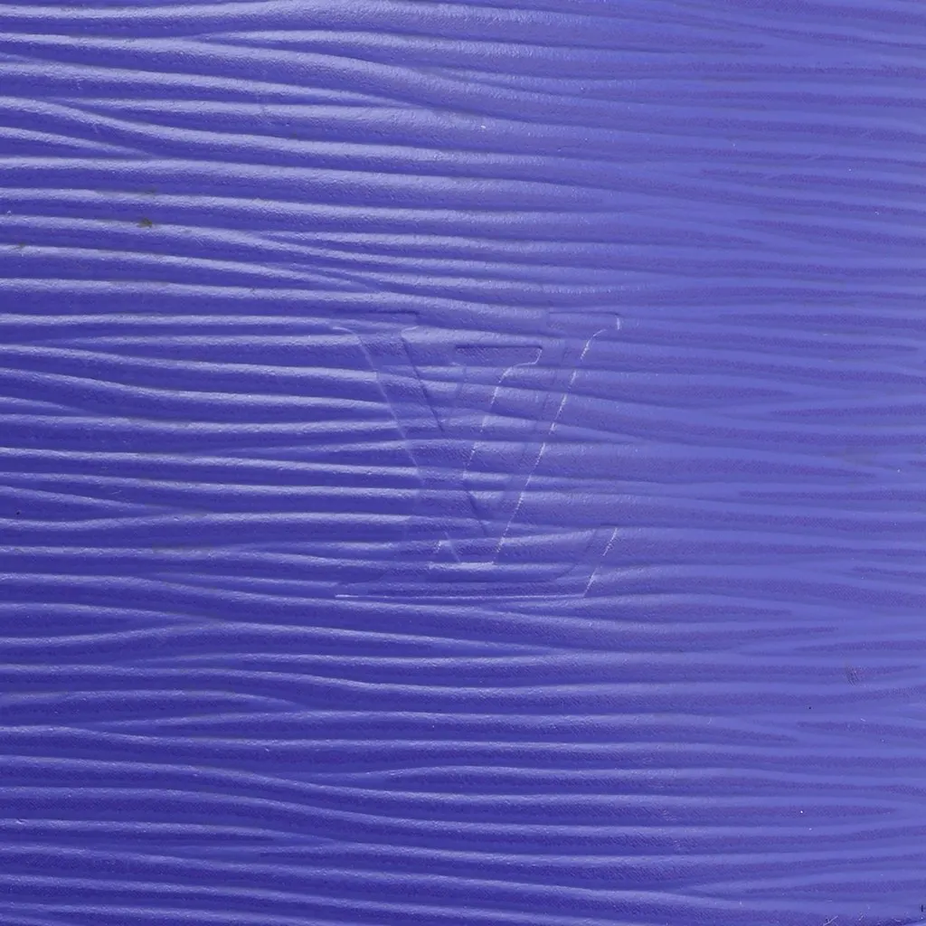Louis Vuitton Epi Alma PM Purple Leather Good - Model View