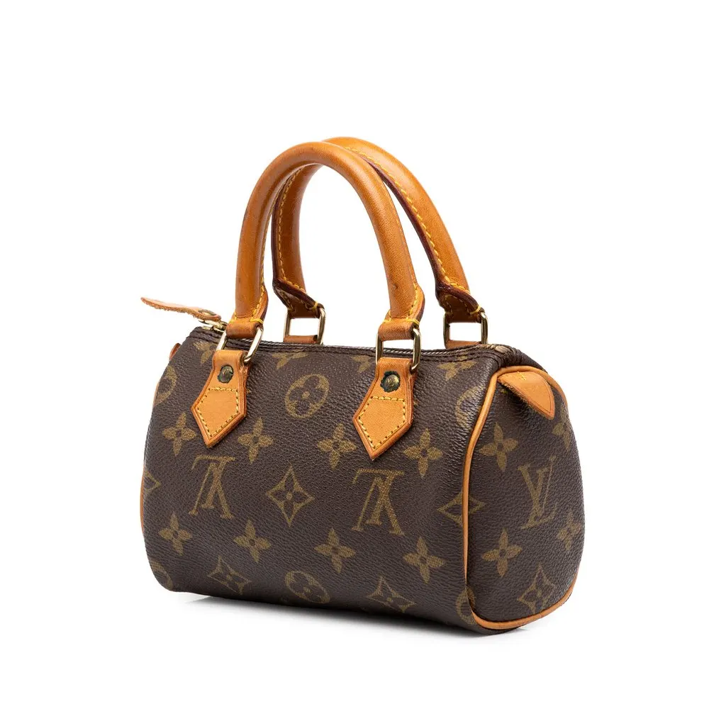 Louis Vuitton Monogram Nano Speedy Brown Canvas Good - Back View