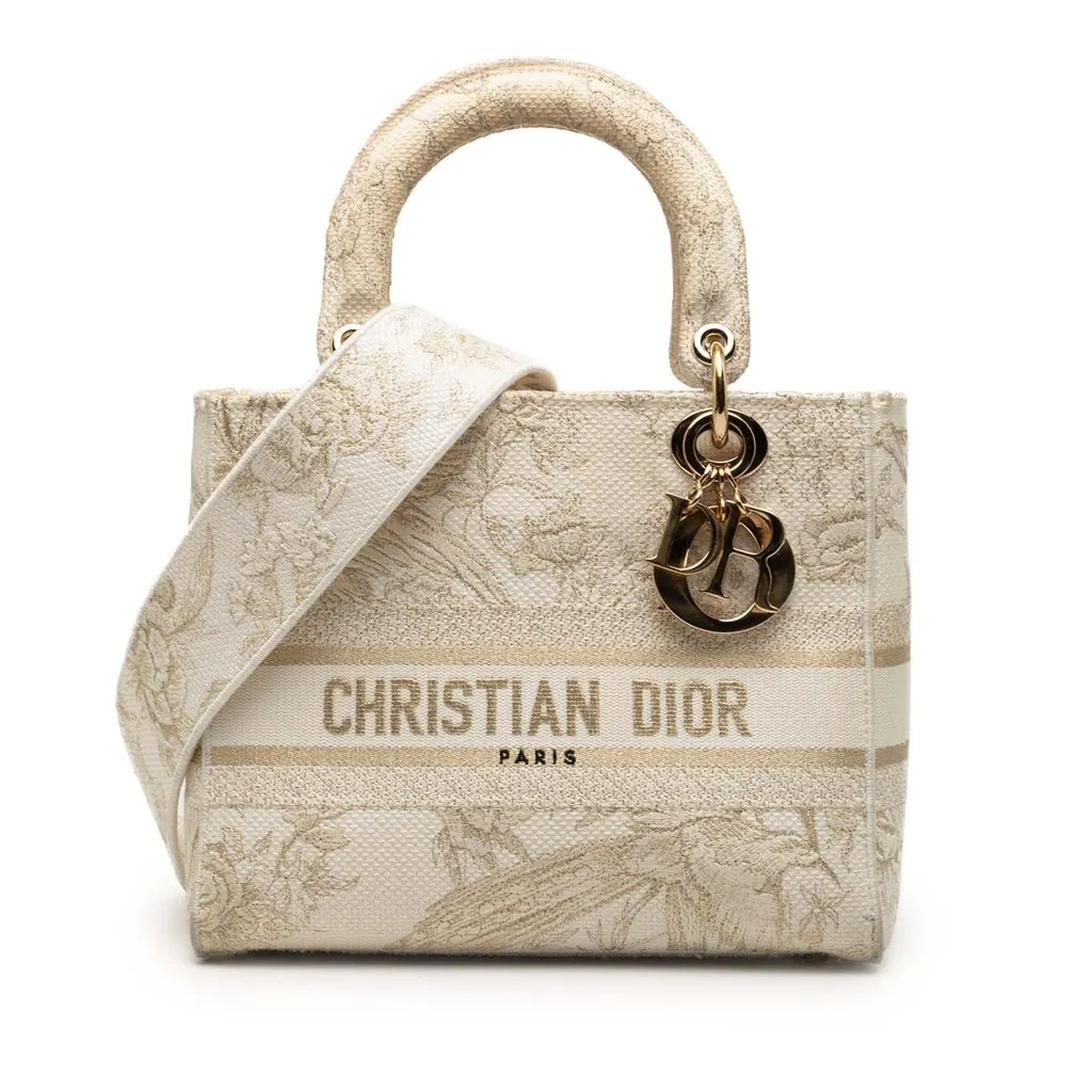 Dior Medium Embroidered Canvas Jardin D Hiver Lady D Lite Brown Very good - Front View