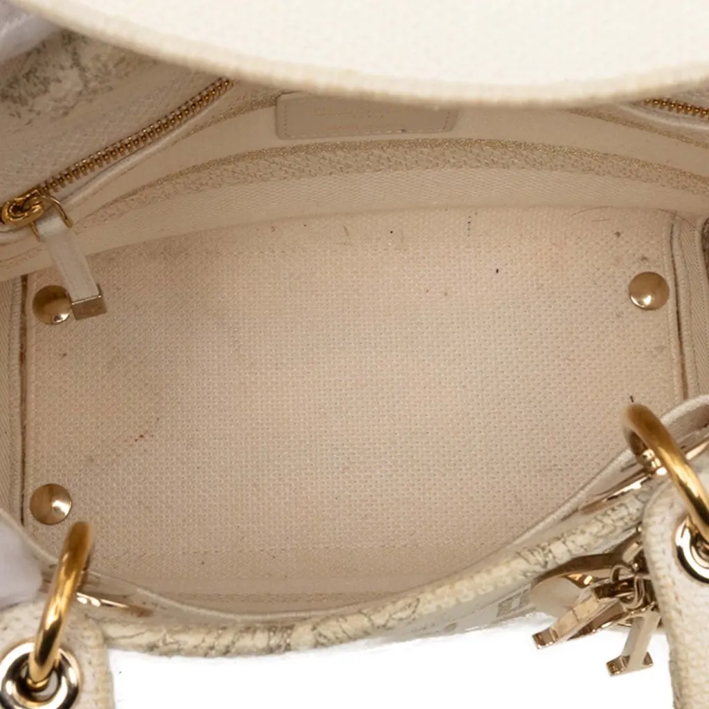 Dior Medium Embroidered Canvas Jardin D Hiver Lady D Lite Brown Very good - Model View