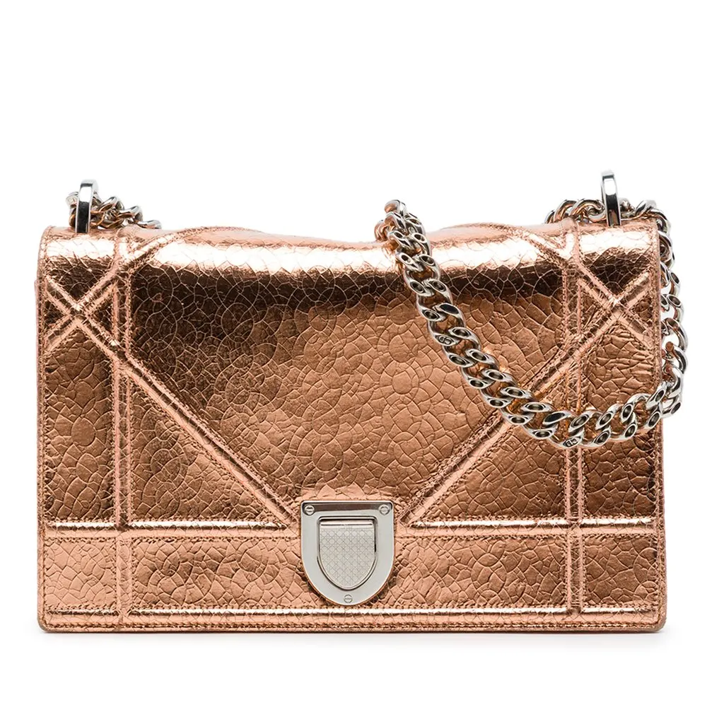 Dior Metallic Ceramic Effect Deerskin Diorama Wallet on Chain Gold Leather Very good - Front View