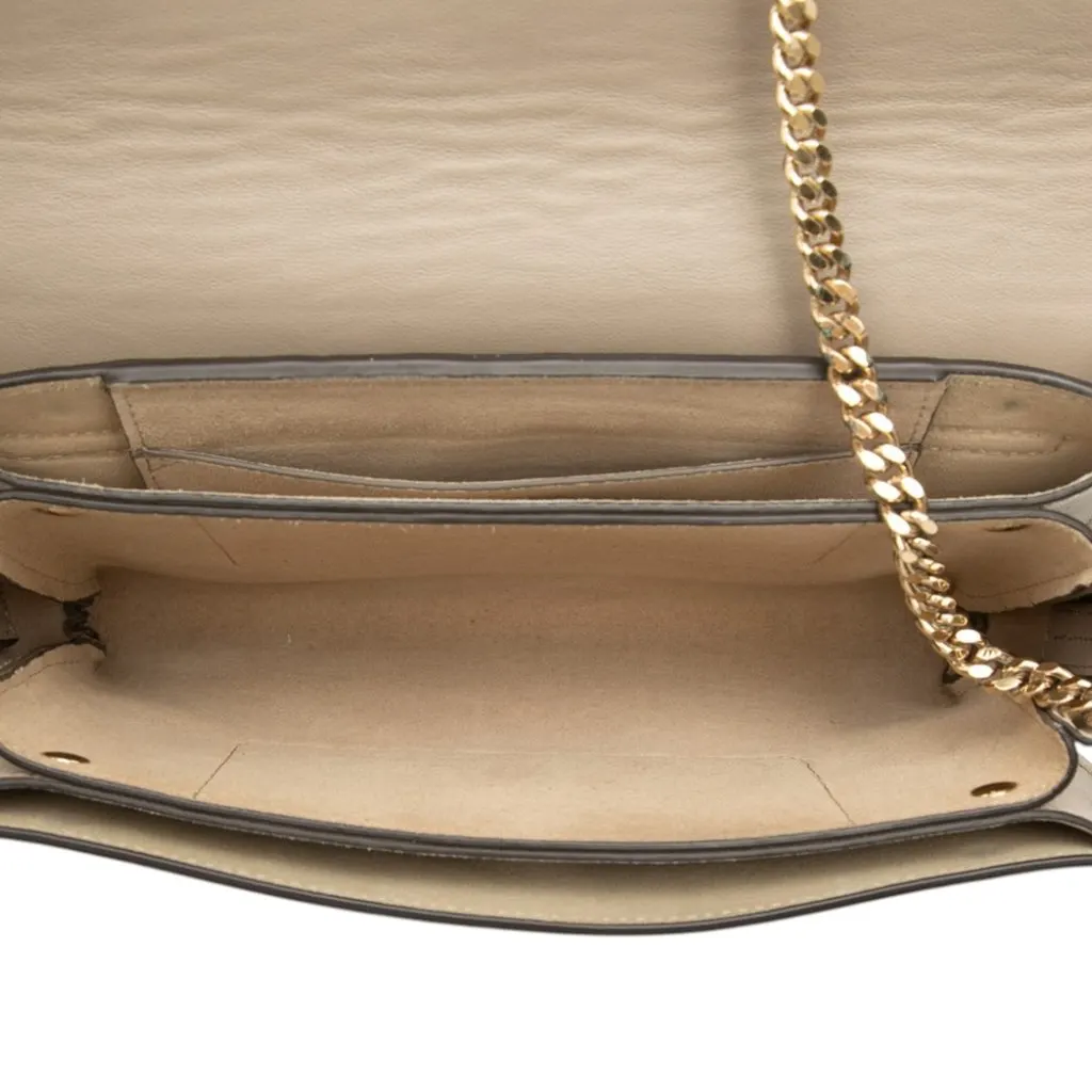 Chloé Small Suede and Calfskin Faye Crossbody Brown Leather Good - Model View