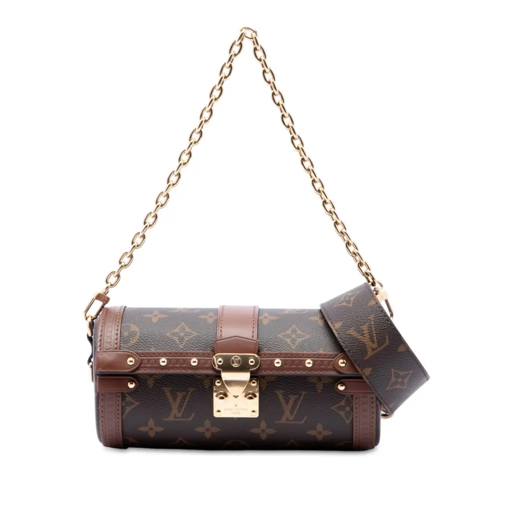 Louis Vuitton Monogram Papillon Trunk Brown Very good - Front View