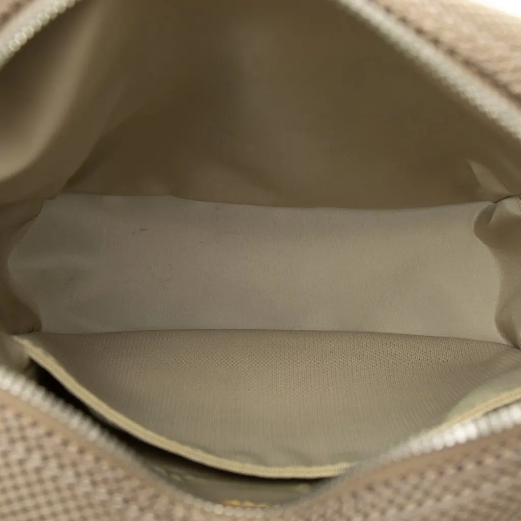 Louis Vuitton Damier Geant Citadin Brown Canvas Good - Model View