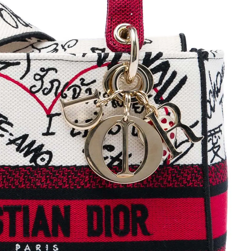 Dior DiorAmour Medium Embroidered Canvas Graffiti Lady D Lite White Very good - Box View