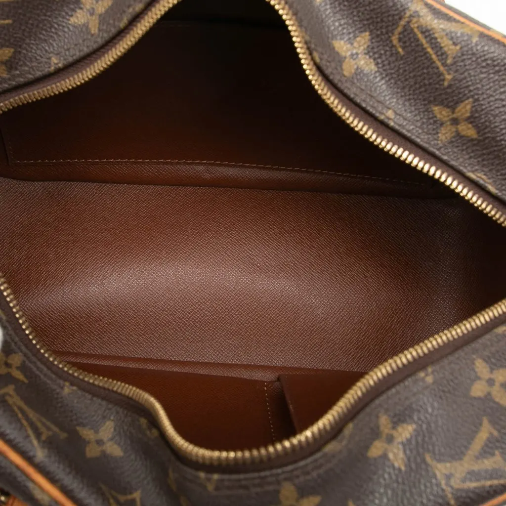 Louis Vuitton Monogram Cite MM Brown Canvas Good - Model View