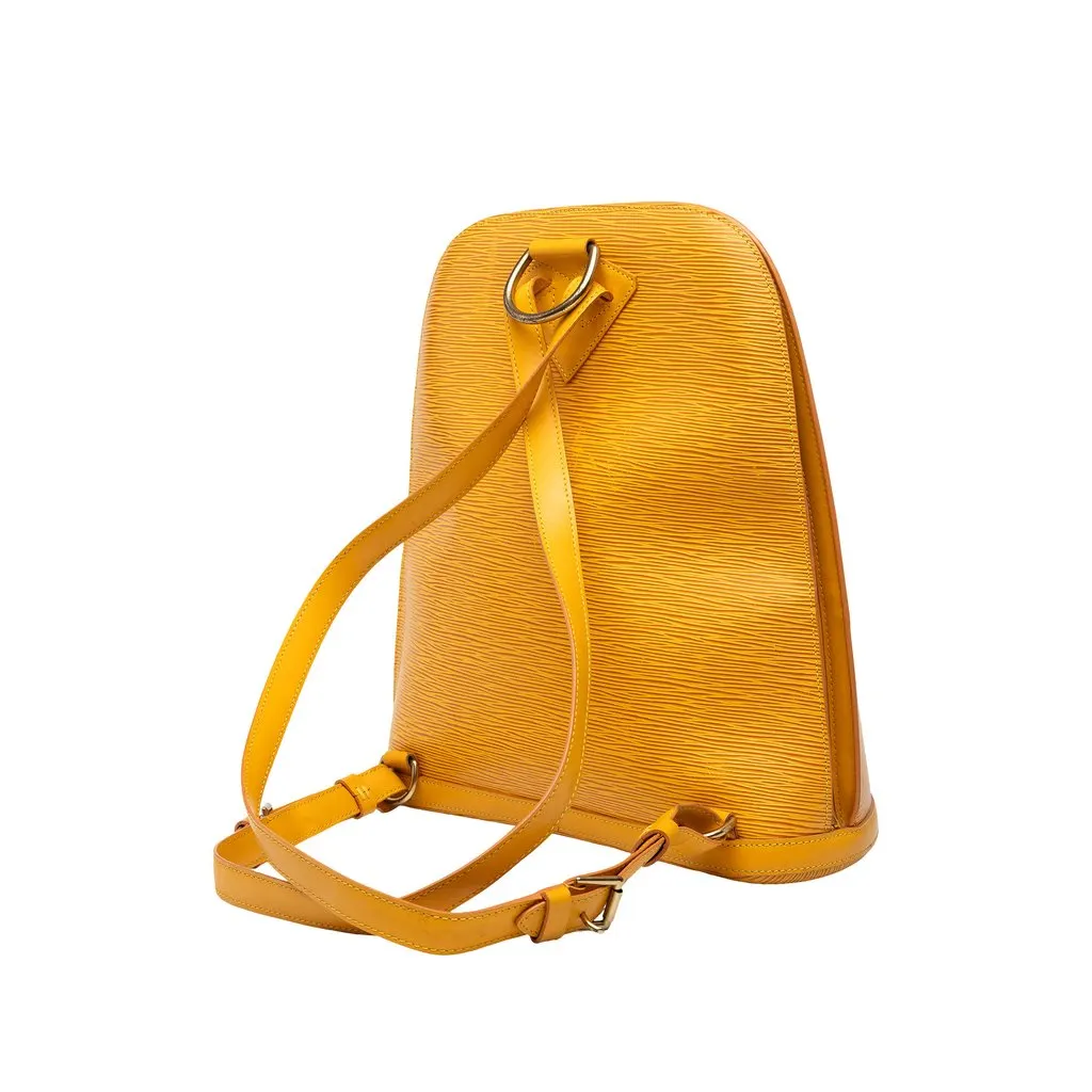 Louis Vuitton Epi Gobelins Yellow Leather Good - Back View