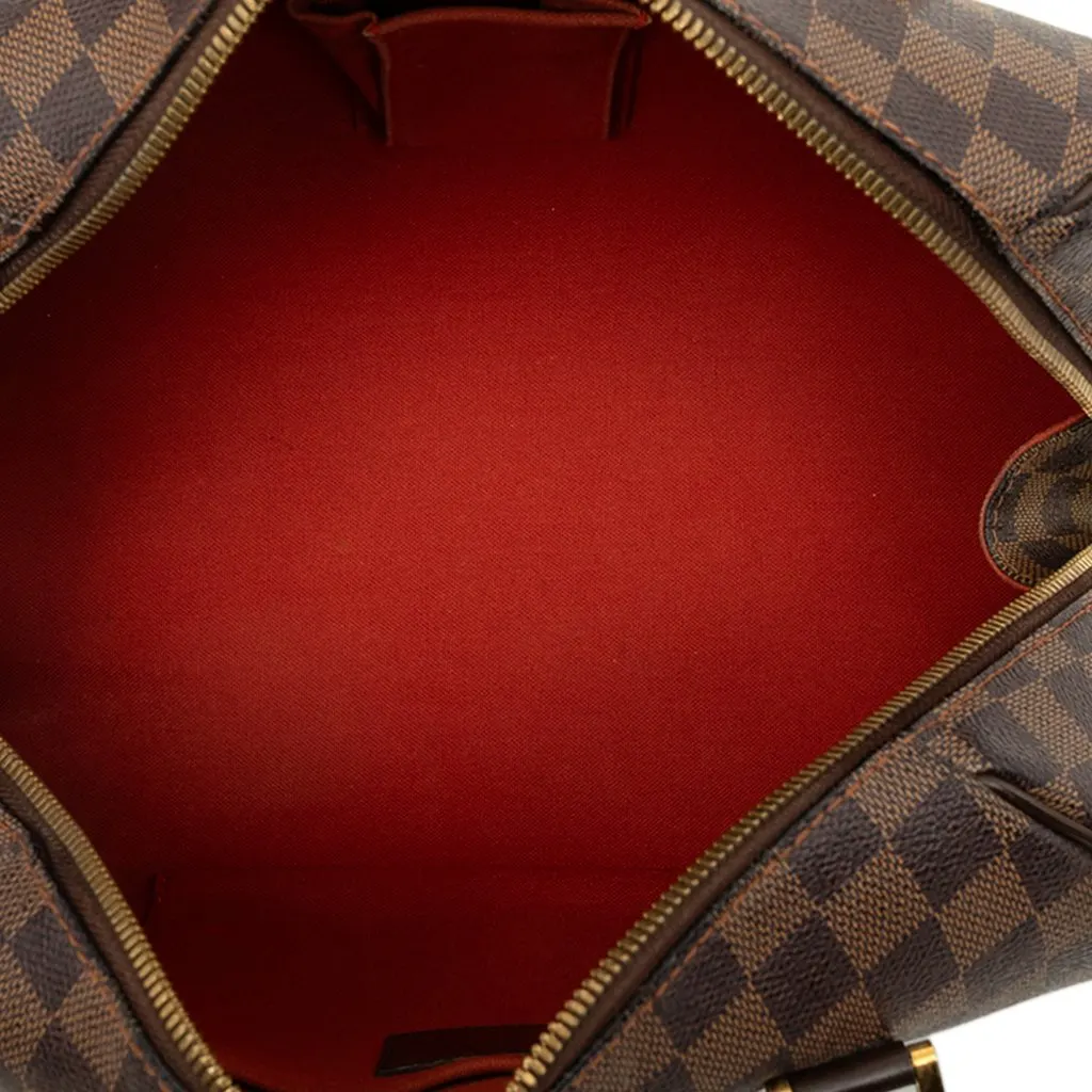 Louis Vuitton Damier Ebene Ribera MM Brown Canvas Good - Model View