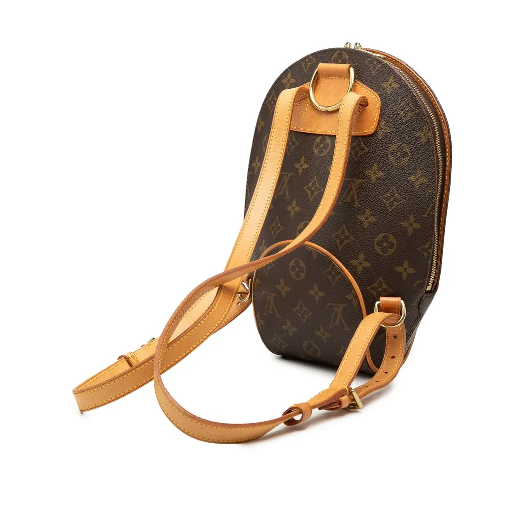 Louis Vuitton Monogram Ellipse Sac a Dos Backpack Brown Very good - Back View