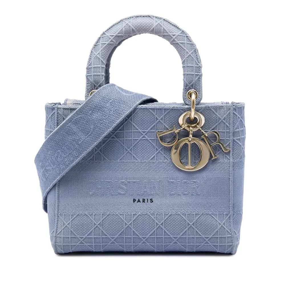 Dior متوسطة مطرّزة قماش كاناج ليدي D Lite