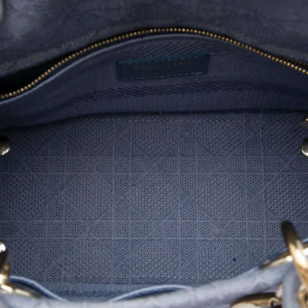 Dior Medium Embroidered Canvas Cannage Lady D Lite Blue Canvas Very good - Model View