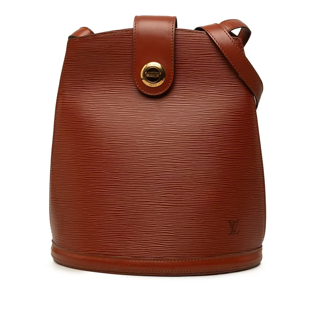 Louis Vuitton Epi Cluny Brown Leather Good - Front View