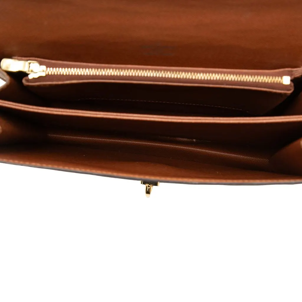 Louis Vuitton Monogram Raspail Brown Canvas Good - Model View