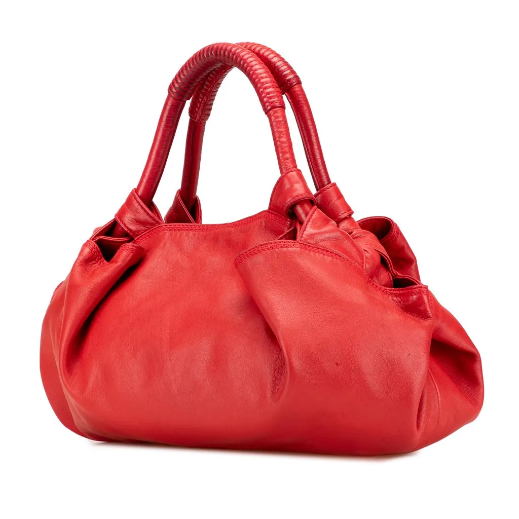 Loewe Nappa Aire Red Leather Good - Back View