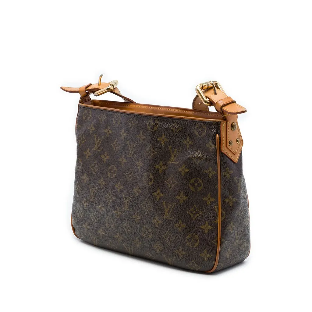 Louis Vuitton Monogram Hudson GM Brown Canvas Very good - Back View