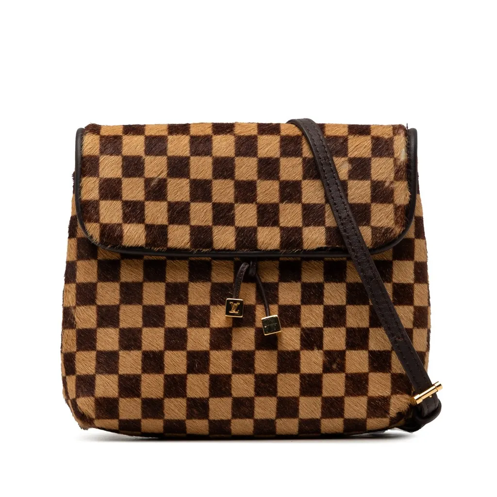 Louis Vuitton Damier Sauvage Gazelle Brown Good - Front View