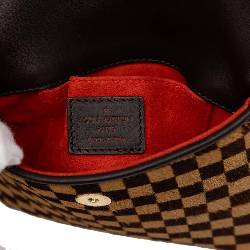 Louis Vuitton Damier Sauvage Gazelle Brown Good - Box View