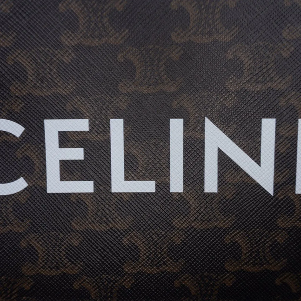 Celine Small Triomphe Coated Canvas Logo Camera Bag Brown Canvas Very good - Box View