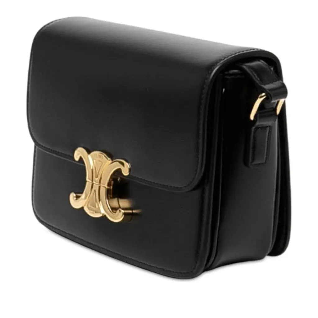 Celine Teen Shiny Calfskin Triomphe Crossbody Black Leather Very good - Back View
