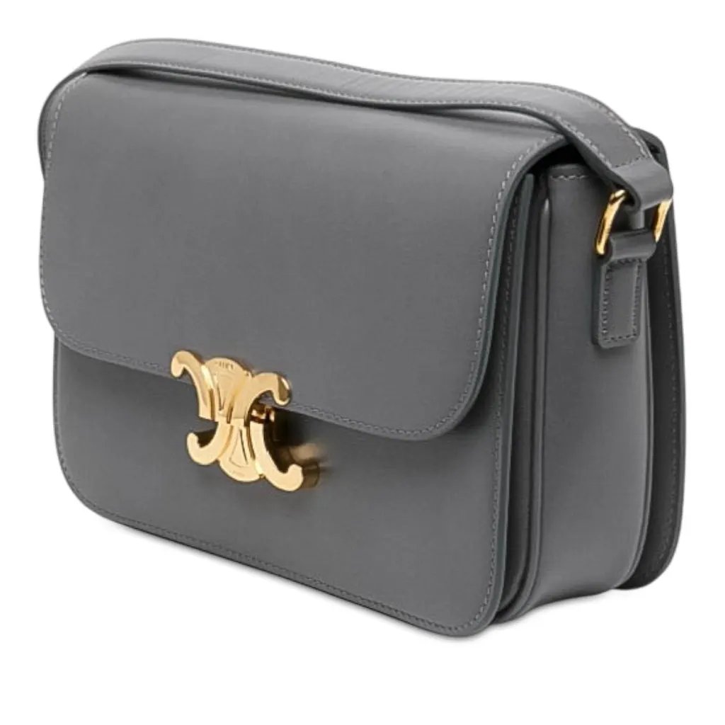 Celine Classique Shiny Calfskin Triomphe Crossbody Grey Leather Very good - Back View