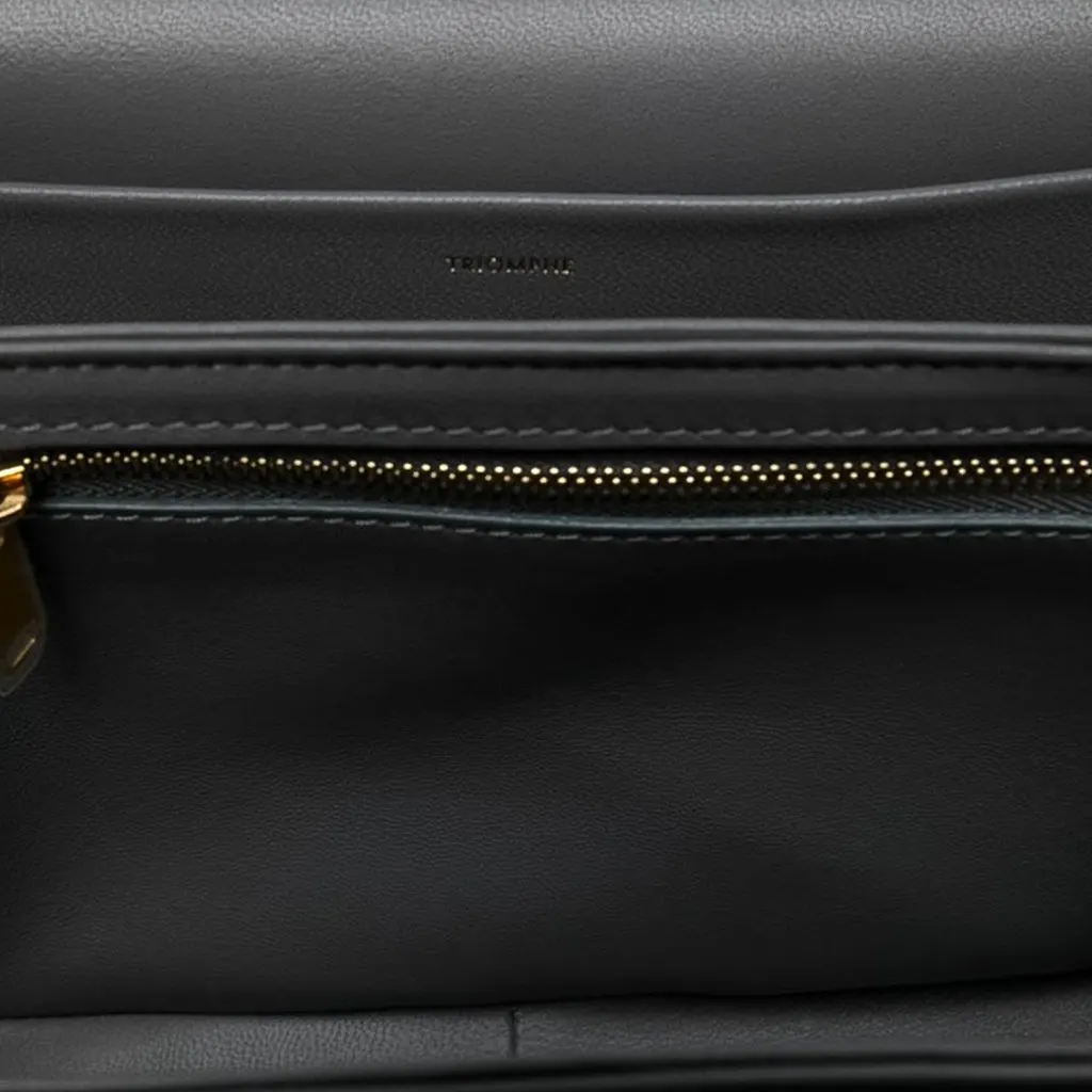 Celine Classique Shiny Calfskin Triomphe Crossbody Grey Leather Very good - Model View