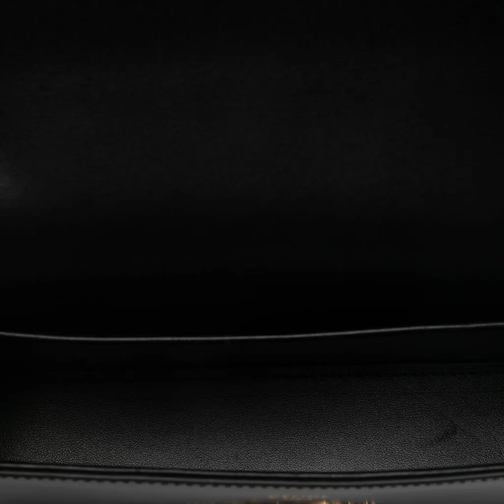 Celine Shiny Calfskin Triomphe Claude Shoulder Bag Black Leather Never worn - Model View